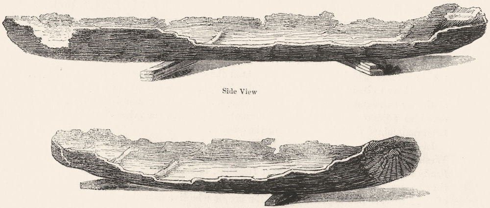 SUSSEX. British Canoes-found, North stoke 1845 old antique print picture